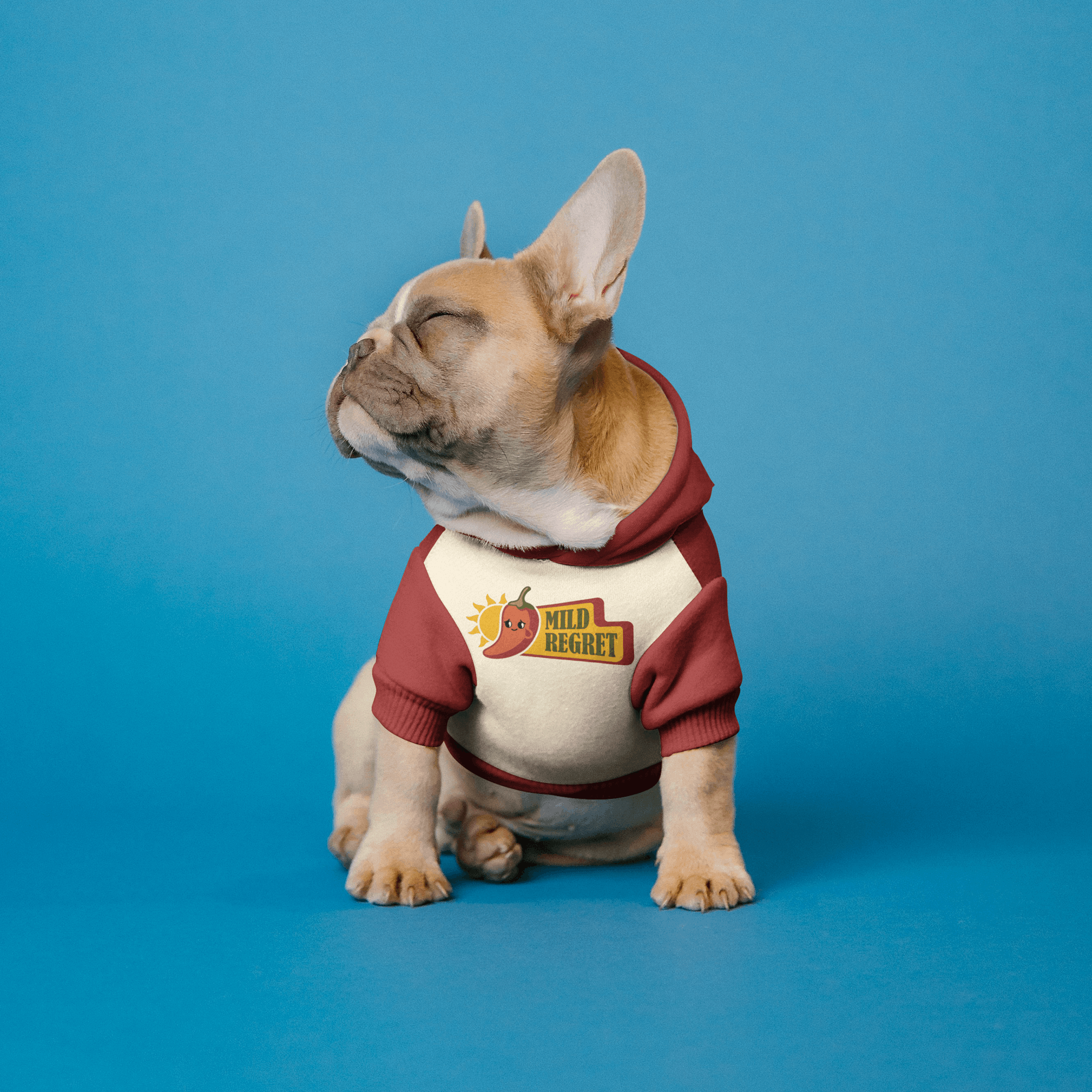 A picture of a pug wearing a Mild Regret branded sweatshirt.